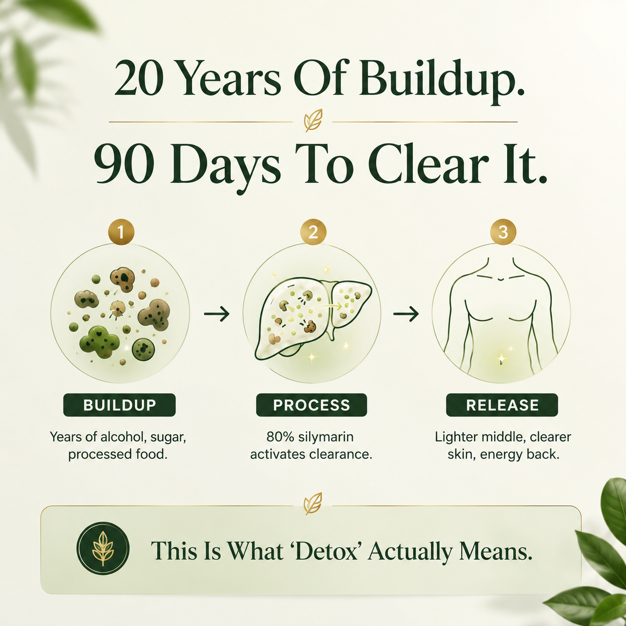 Milk Thistle Restore